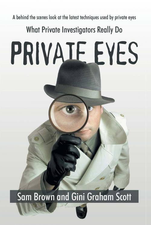 Cover of the book Private Eyes by Gini Graham Scott, Gini Graham Scott