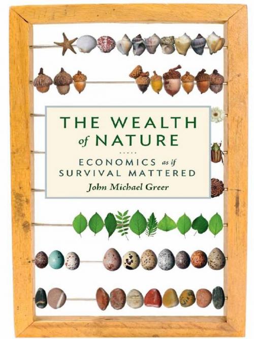 Cover of the book The Wealth of Nature by John Michael Greer, New Society Publishers