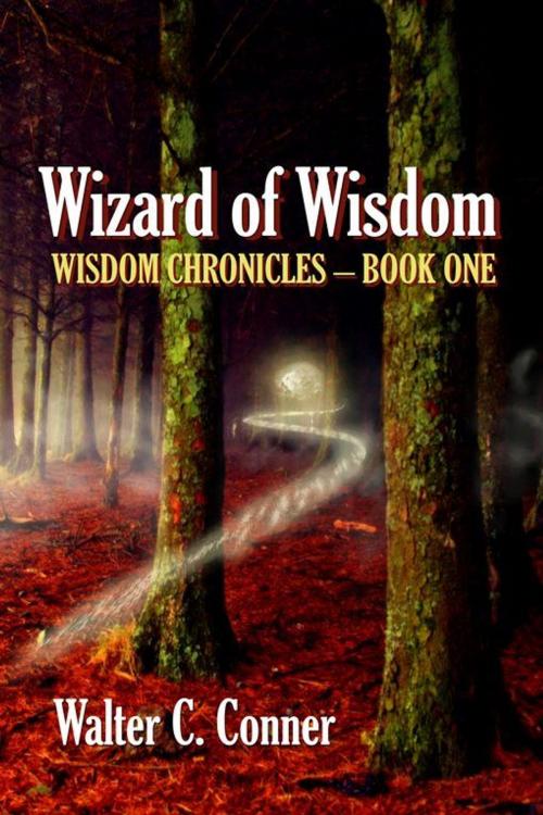 Cover of the book Wizard Of Wisdom by Walter C. Conner, Double Dragon Publishing