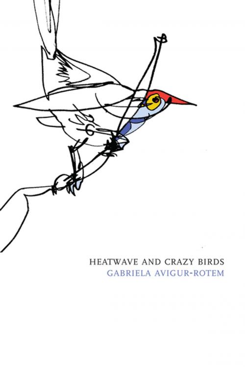 Cover of the book Heatwave and Crazy Birds by Gabriela Avigur-Rotem, Dalkey Archive Press