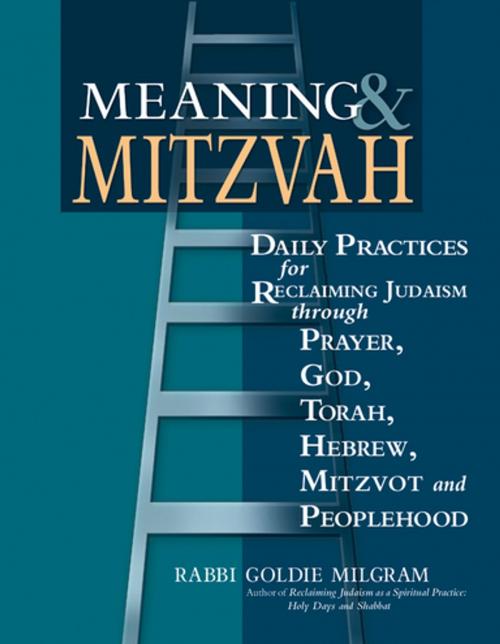 Cover of the book Meaning & Mitzvah by Rabbi Goldie Milgram, Turner Publishing Company