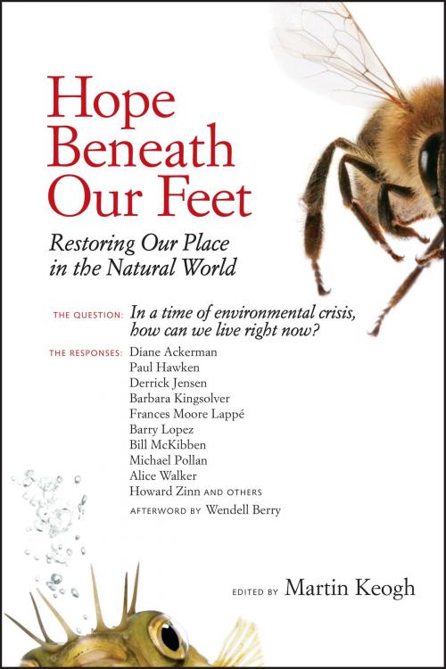Cover of the book Hope Beneath Our Feet by Michael Pollan, Barbara Kingsolver, Alice Walker, Howard Zinn, North Atlantic Books