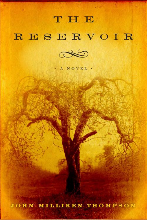 Cover of the book The Reservoir by John Milliken Thompson, Other Press