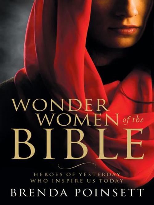 Cover of the book Wonder Women of the Bible: Heroes of Yesterday Who Inspire Us Today by Brenda Poinsett, New Hope Publishers