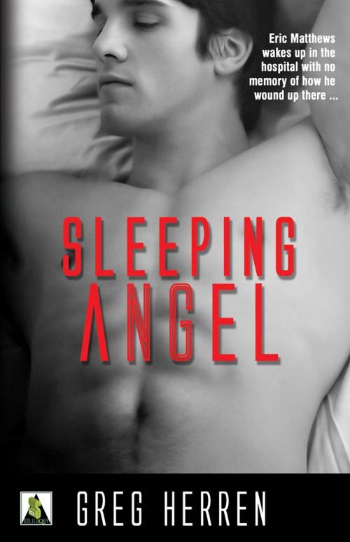 Cover of the book Sleeping Angel by Greg Herren, Bold Strokes Books, Inc.