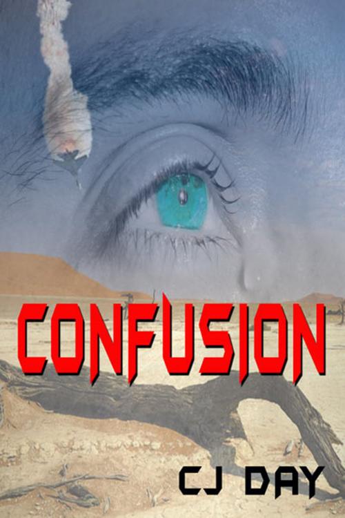 Cover of the book Confusion by CJ Day, CJ Day