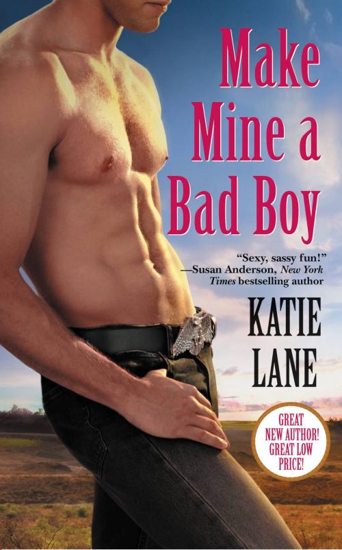 Cover of the book Make Mine a Bad Boy by Katie Lane, Grand Central Publishing