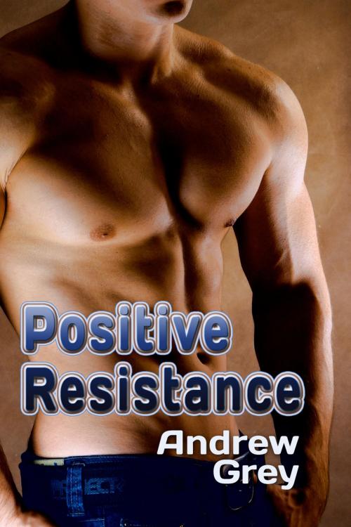 Cover of the book Positive Resistance by Andrew Grey, Dreamspinner Press