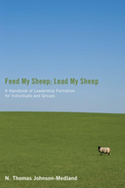 Cover of the book Feed My Sheep; Lead My Sheep by N. Thomas Johnson-Medland, Wipf and Stock Publishers