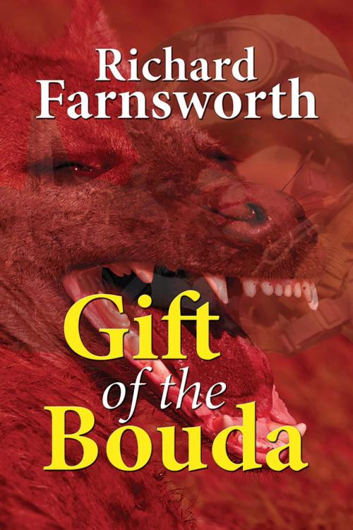Cover of the book Gift of the Bouda by Richard Farnsworth, Salvo Press