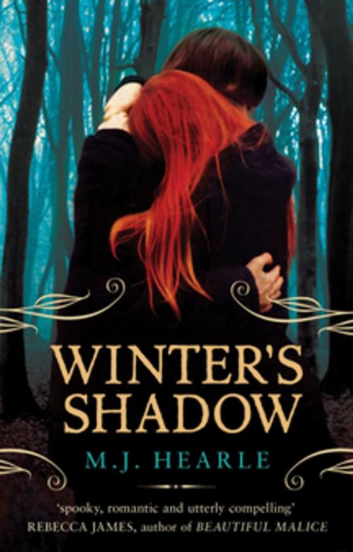 Cover of the book Winter's Shadow: A Winter Adams Novel 1 by M.J. Hearle, Pan Macmillan Australia