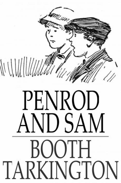 Cover of the book Penrod and Sam by Booth Tarkington, The Floating Press