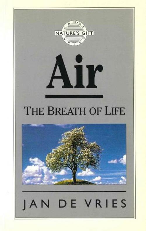 Cover of the book Air by Jan de Vries, Mainstream Publishing