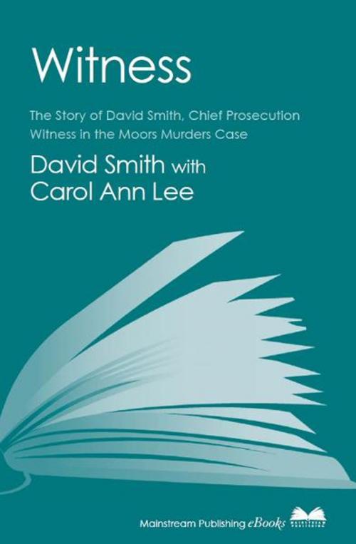 Cover of the book Witness (later issued as Evil Relations) by David Smith, Carol Ann Lee, Mainstream Publishing