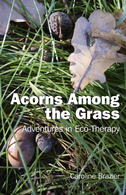 Cover of the book Acorns Among the Grass by Caroline Brazier, John Hunt Publishing