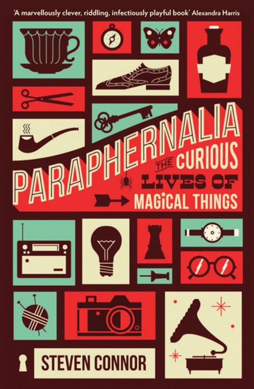 Cover of the book Paraphernalia by Professor Steven Connor, Profile