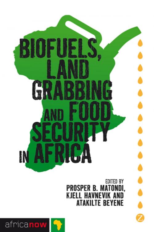 Cover of the book Biofuels, Land Grabbing and Food Security in Africa by Patience Mutopo, Atakilte Beyene, Hanne Haaland, Festus Boamah, Marie Widengård, Rune Skarstein, Zed Books