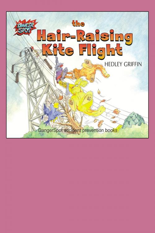 Cover of the book The Hair-Raising Kite Flight by Hedley Griffin, Andrews UK