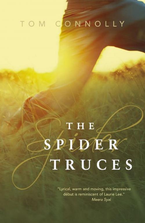 Cover of the book The Spider Truces by Tom Connolly, Myriad Editions