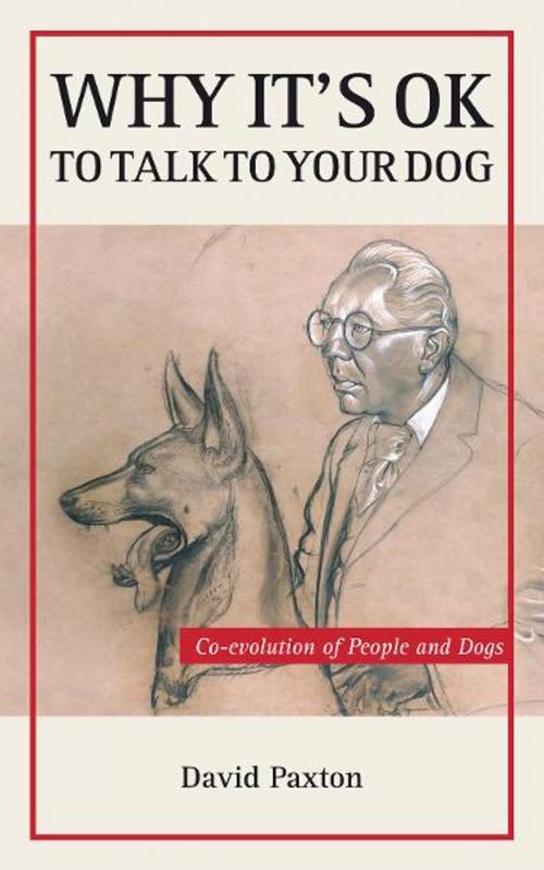 Cover of the book Why It's OK to Talk to Your Dog by David Paxton, Boolarong Press