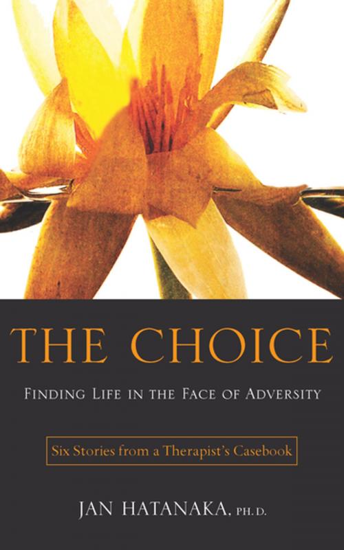 Cover of the book The Choice by Jan Hatanaka, BPS Books