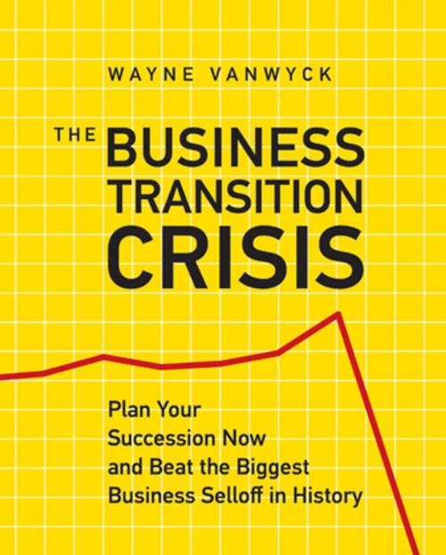 Cover of the book The Business Transition Crisis by Wayne Vanwyck, BPS Books