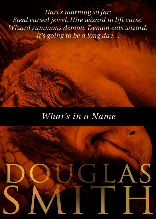 Cover of the book What's in a Name? by Douglas Smith, Spiral Path Books
