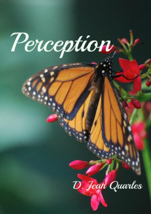 Cover of the book Perception by D. Jean Quarles, D. Jean Quarles