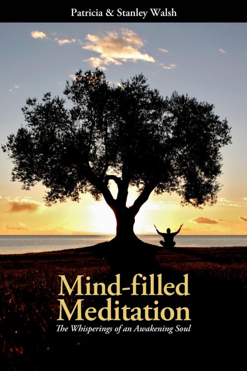 Cover of the book Mind-filled Meditation: The Whisperings of an Awakening Soul by Patricia & Stanley Walsh, Patricia & Stanley Walsh