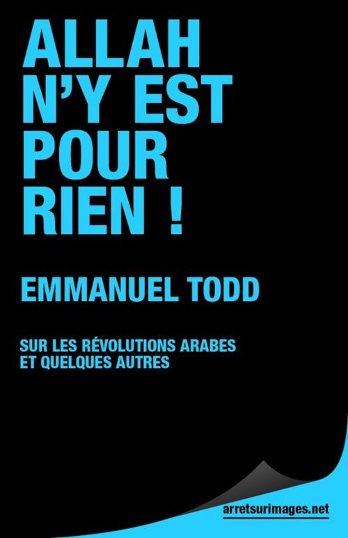 Cover of the book Allah n'y est pour rien ! by Emmanuel Todd, Le Publieur
