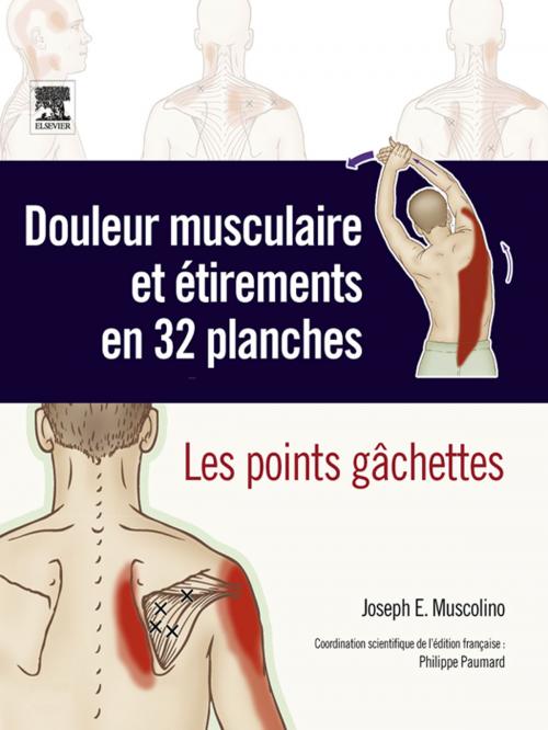 Cover of the book Douleur musculaire et étirements en 32 planches by Philippe Paumard, John Scott & Co, Philippe Paumard, Joseph E. Muscolino, Elsevier Health Sciences