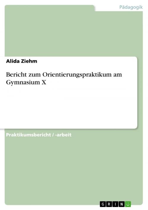 Cover of the book Bericht zum Orientierungspraktikum am Gymnasium X by Alida Ziehm, GRIN Verlag