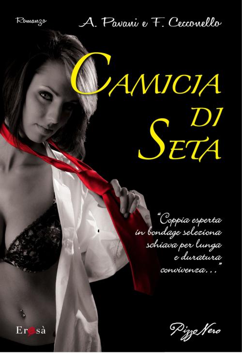 Cover of the book Camicia di seta by Alexandra Pavani, Fabio Cecconello, Pizzo Nero