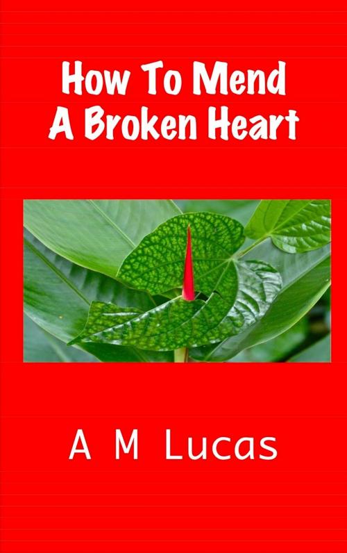 Cover of the book How To Mend A Broken Heart by A M Lucas, A M Lucas