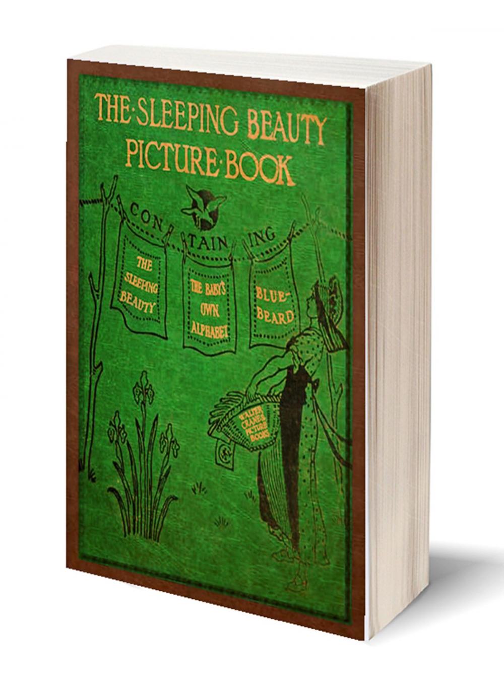 Big bigCover of The Sleeping Beauty Picture Book (Illustrated)