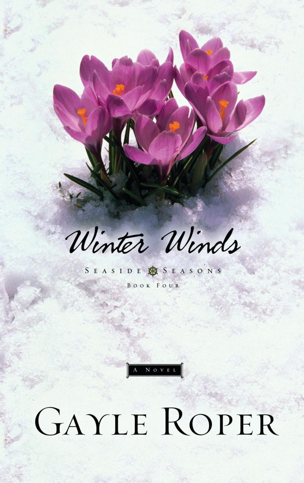 Big bigCover of Winter Winds