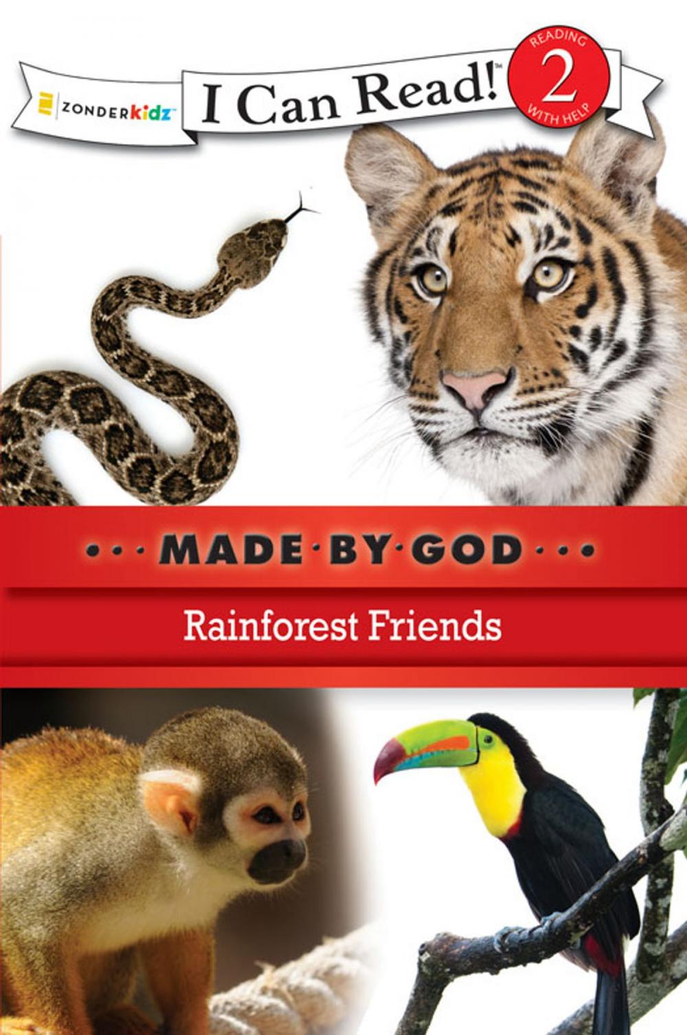 Big bigCover of Rainforest Friends