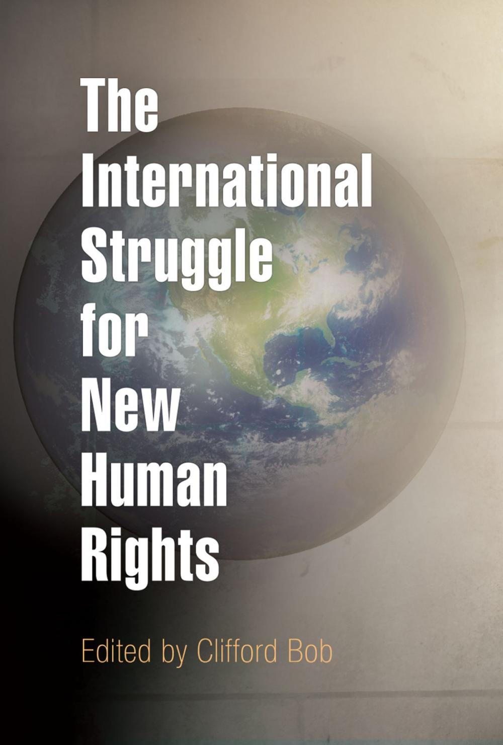 Big bigCover of The International Struggle for New Human Rights