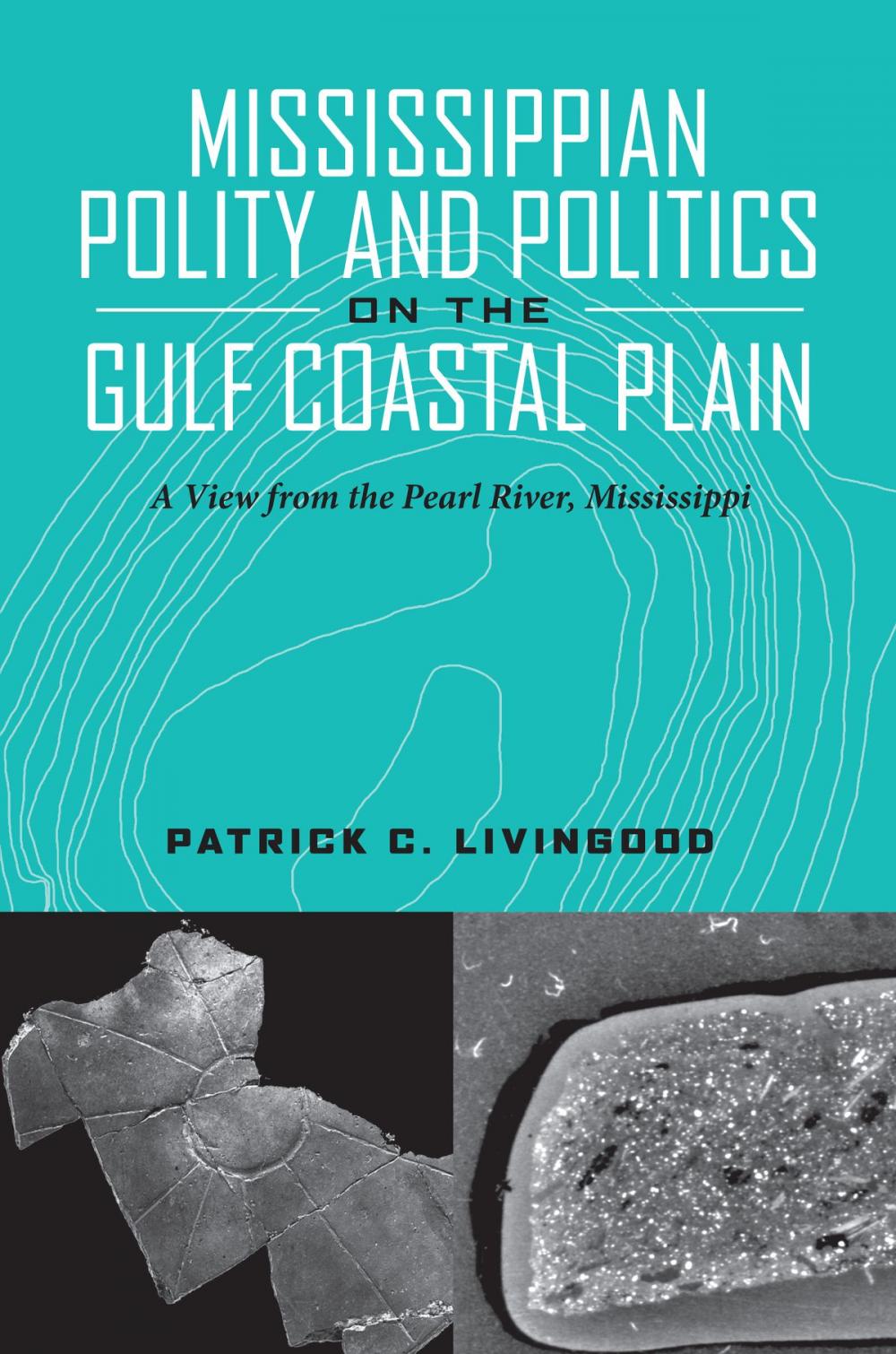 Big bigCover of Mississippian Polity and Politics on the Gulf Coastal Plain