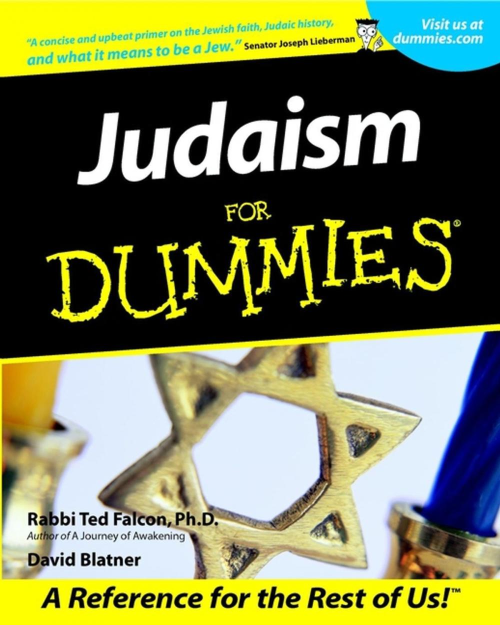 Big bigCover of Judaism For Dummies