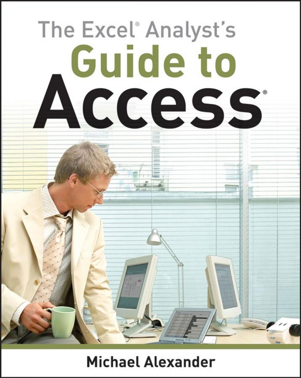 Big bigCover of The Excel Analyst's Guide to Access
