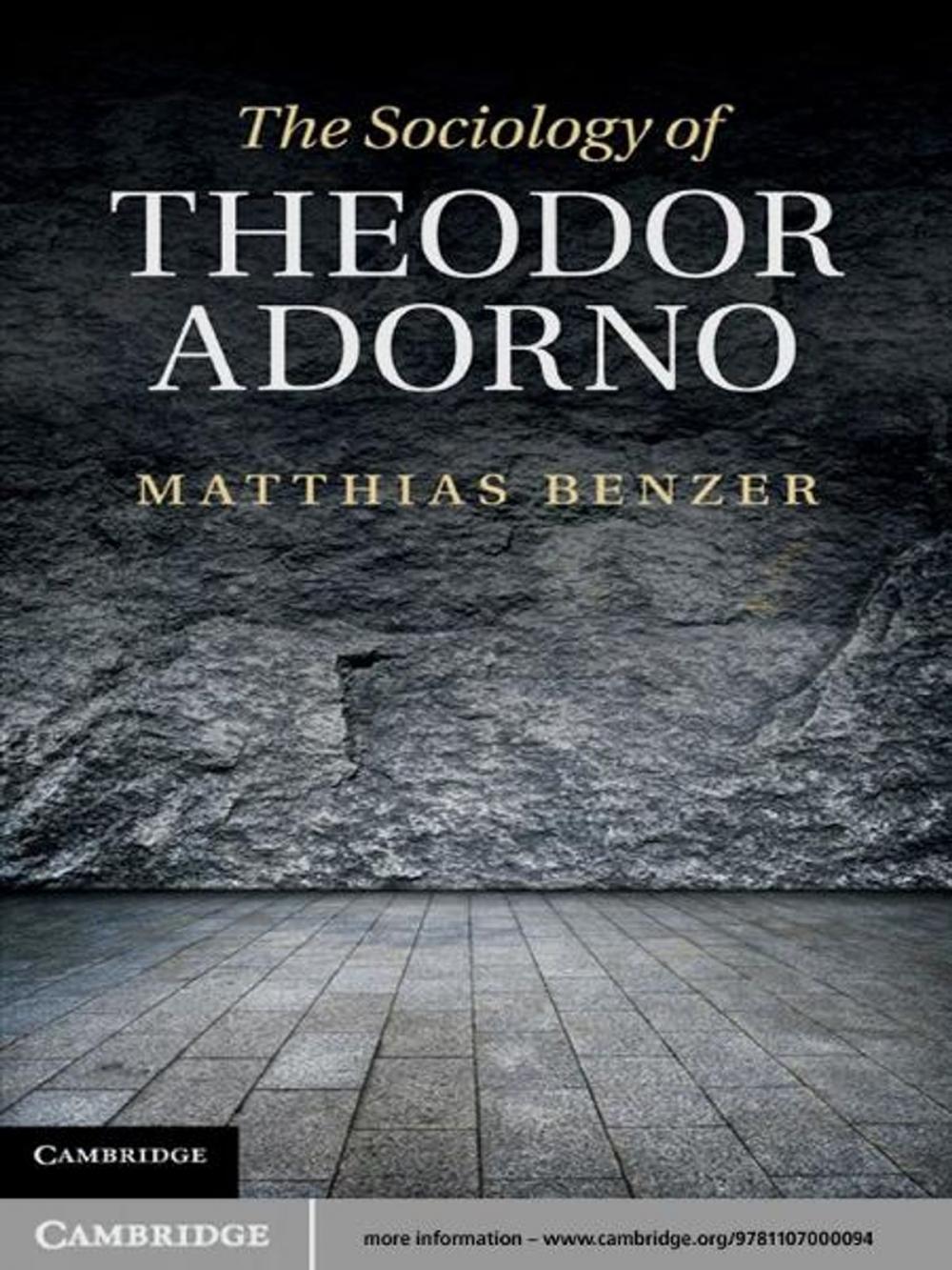 Big bigCover of The Sociology of Theodor Adorno