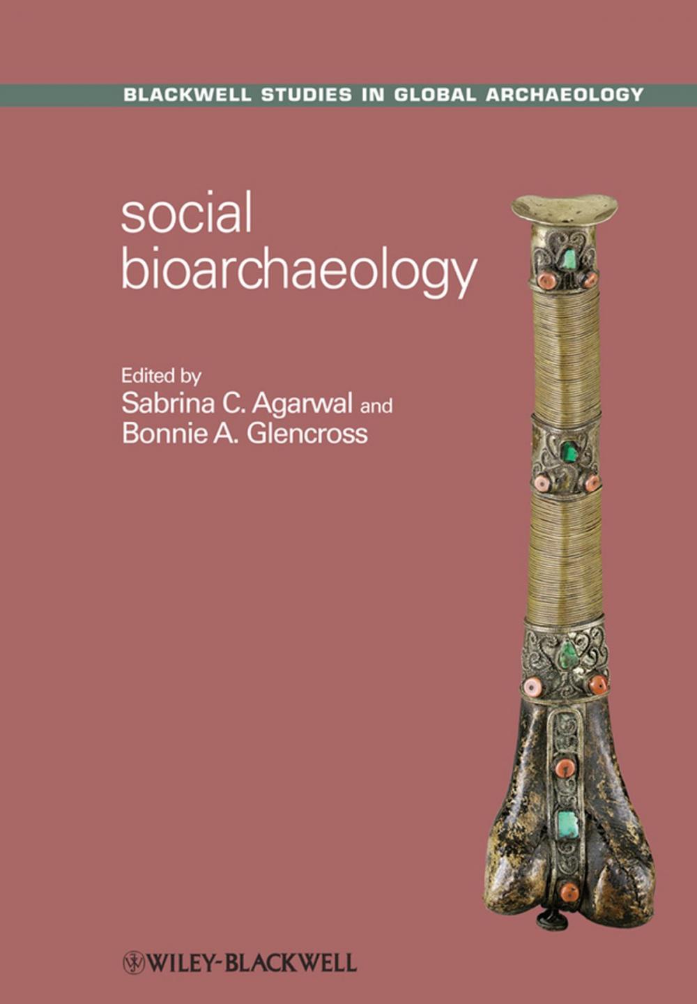 Big bigCover of Social Bioarchaeology