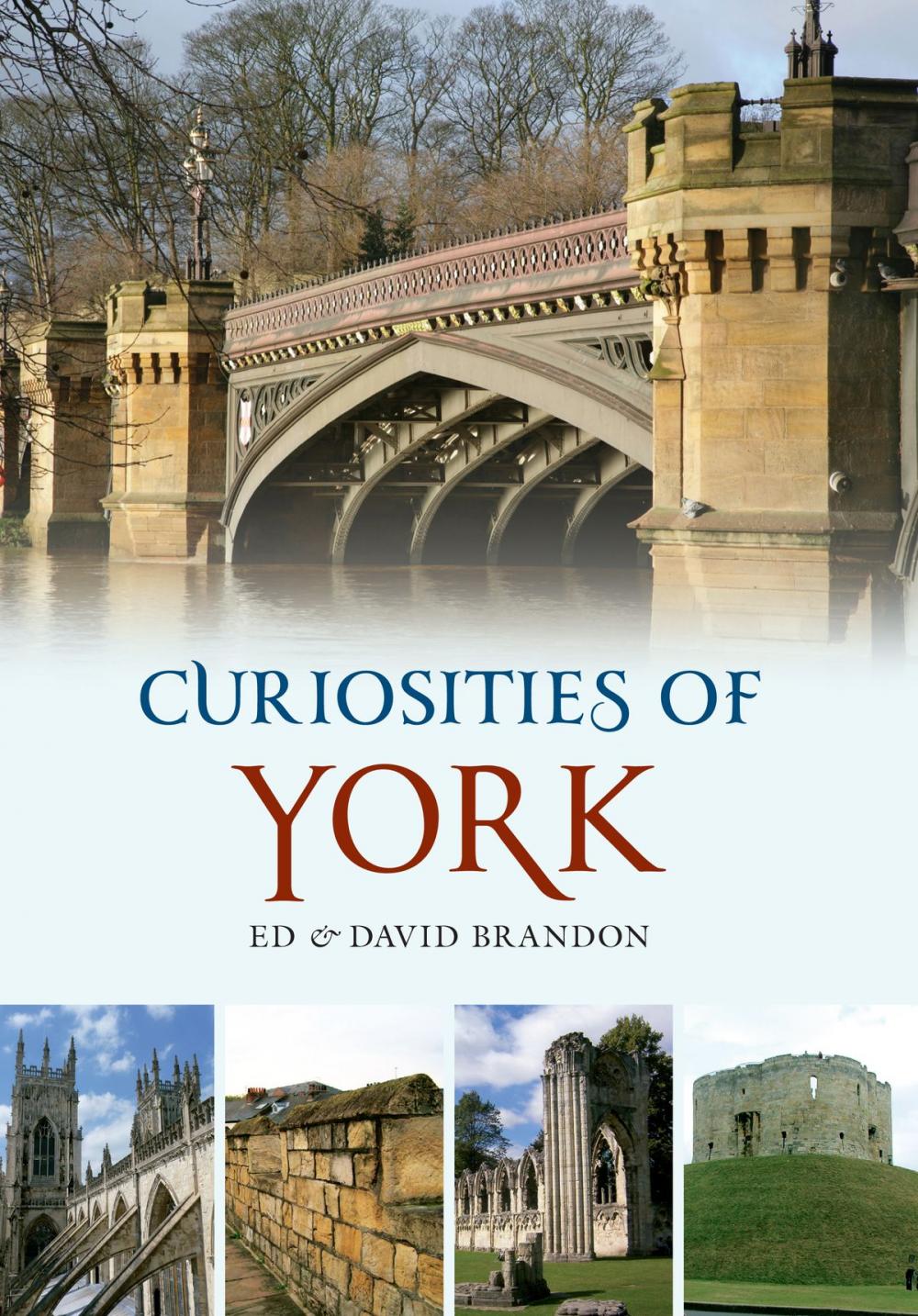 Big bigCover of Curiosities of York