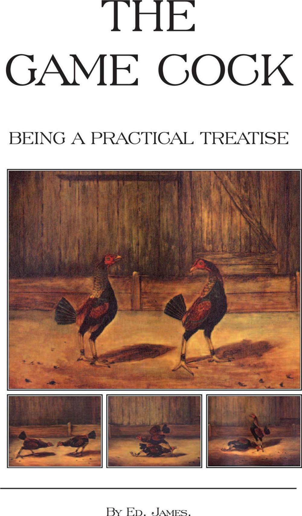 Big bigCover of The Game Cock - Being a Practical Treatise on Breeding, Rearing, Training, Feeding, Trimming, Mains, Heeling, Spurs, Etc. (History of Cockfighting Ser
