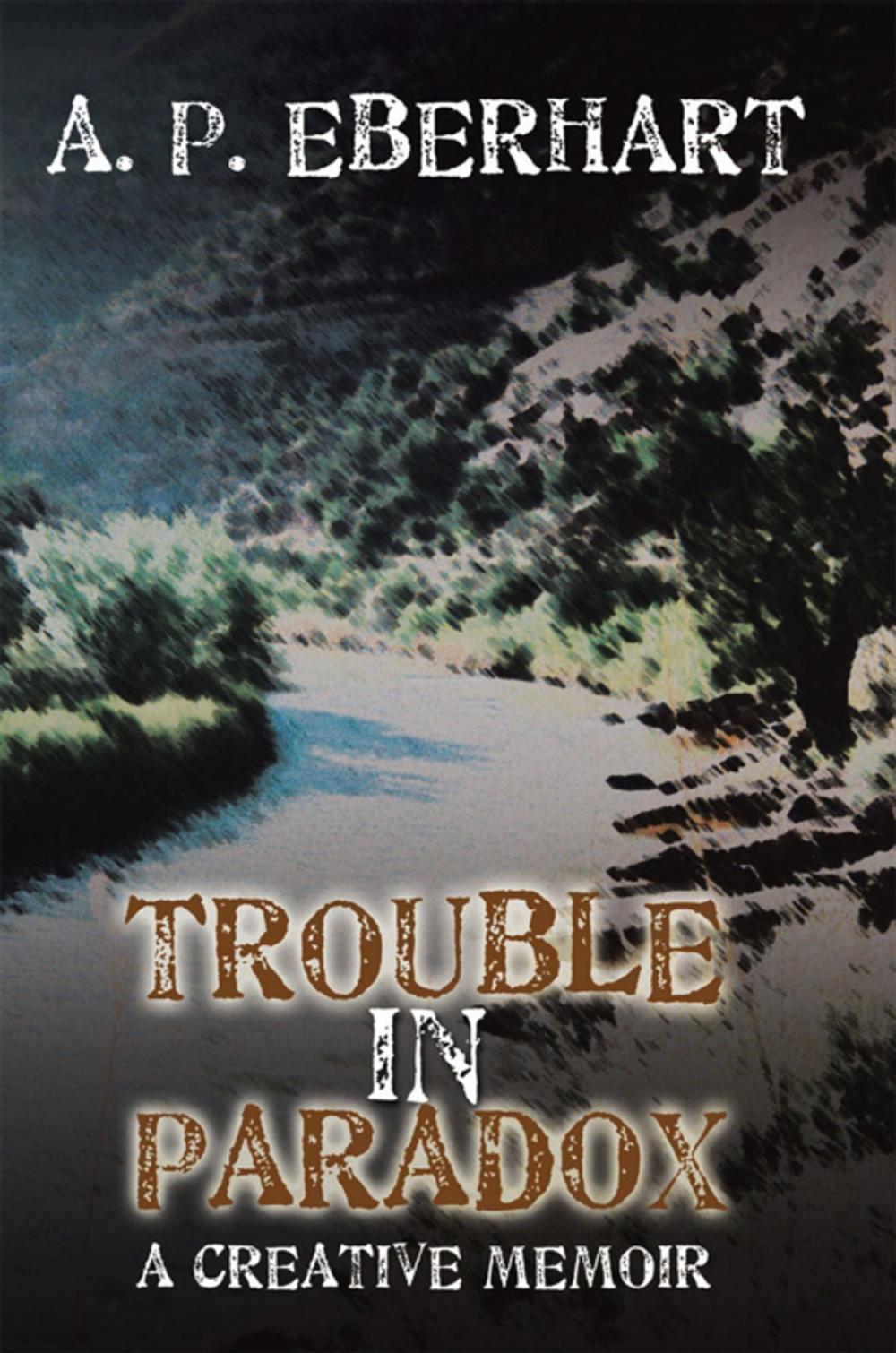 Big bigCover of Trouble in Paradox