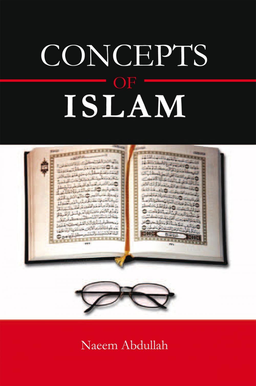 Big bigCover of Concepts of Islam