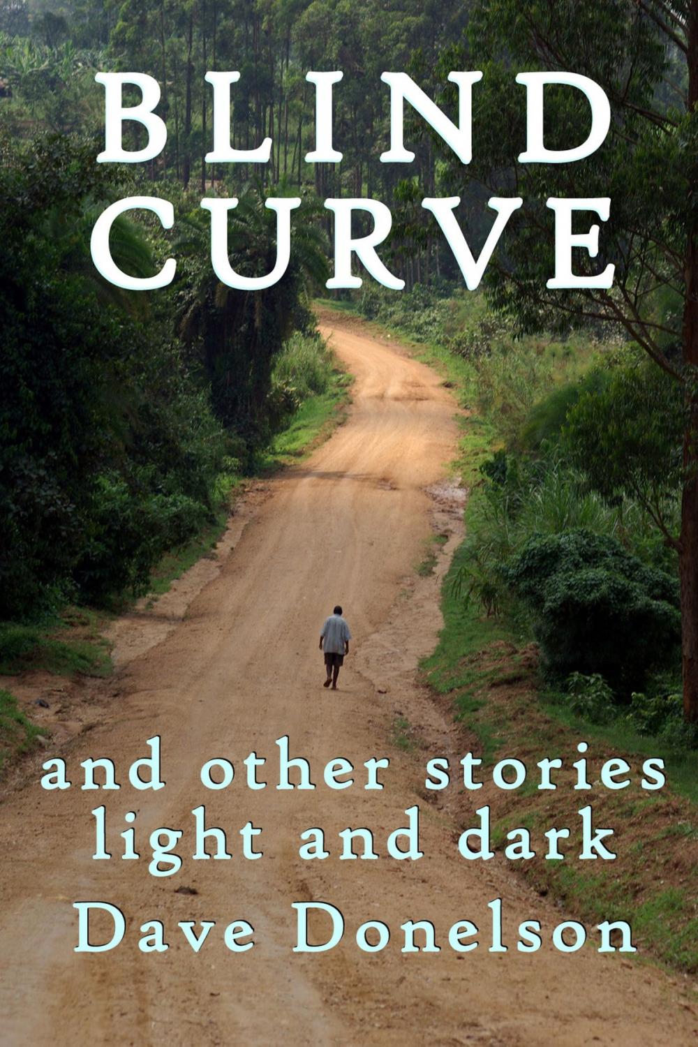 Big bigCover of Blind Curve And Other Stories Light And Dark