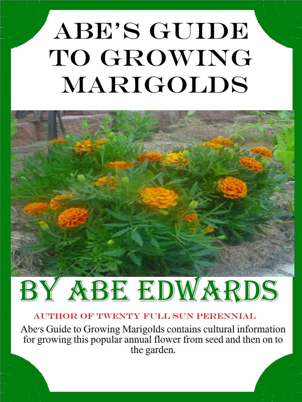 Big bigCover of Abe’s Guide to Growing Marigolds