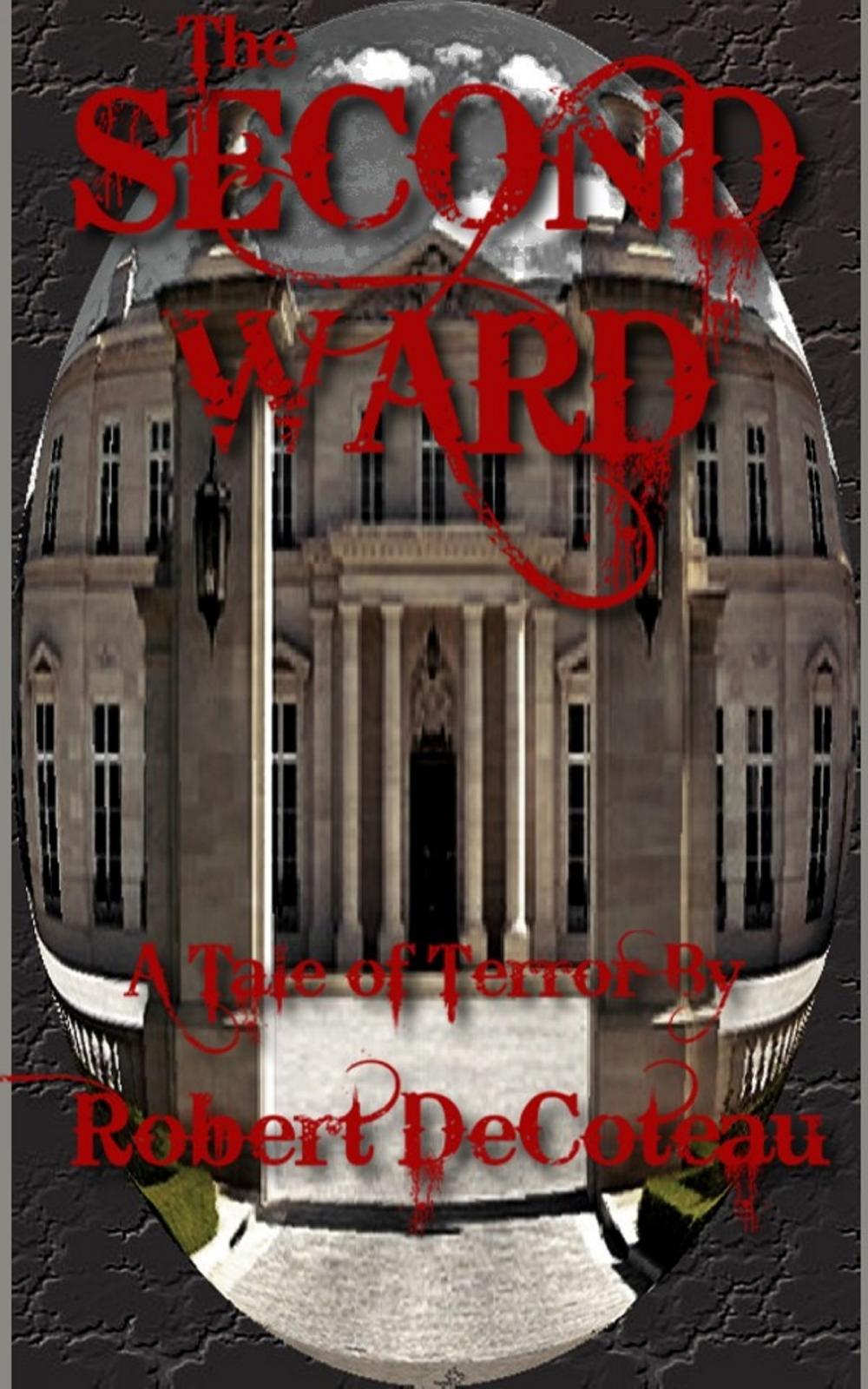 Big bigCover of The Second Ward